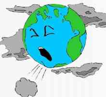 Zona ekološke katastrofe: opis, značajke i zanimljive činjenice