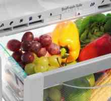 Svježa zona u frižideru - što je to? Ugrađeni hladnjak sa svježinom
