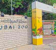Zoo u Dubaiju: kako doći? Recenzije