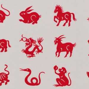 1953 - Godina životinje na horoskopu?