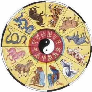 1956, Kakva je životinja na horoskopu? Njegove osobine i kompatibilnost