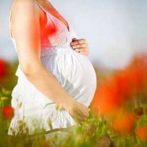 36 Tjedan trudnoće: povlači donji trbuh i boli. Zašto?