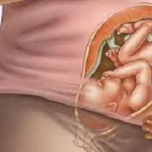 38 Tjedan trudnoće: dijete aktivno miješa noću