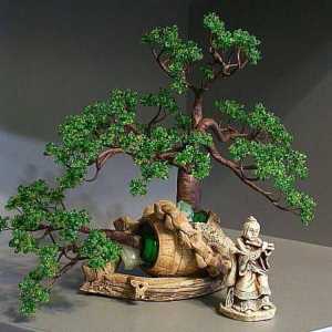 Znaš li kako napraviti bonsai sa zrna s vlastitim rukama?