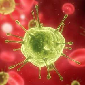 Adenovirus (adenovirus) - što je to? Kako liječiti adenovirus?