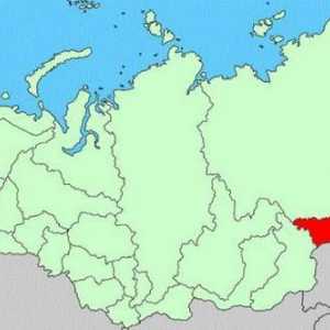 Administrativna podjela, zastava i amblem regije Amur