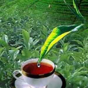 `Akbar` - čaj za dobar početak i uspješan završetak dana