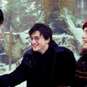 Glumci Harry Potter i vrč vatre: svi su se prisjetili lica