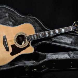 Akustična gitara dreadnought: povijest stvaranja, značajke, analozi