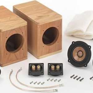 Akustični sustav s vlastitim rukama. Kako napraviti akustički sustav s vlastitim rukama?