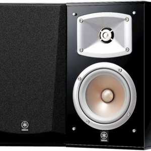 Yamaha NS-333 akustični sustav: specifikacije, fotografije i recenzije