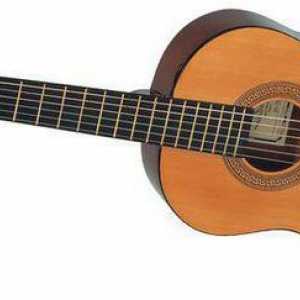 Hohnerove akustične gitare: recenzije