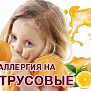 Simptomi i liječenje alergije na mandarine