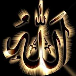 Allah je znak. Islam: čuda i znakovi Allaha