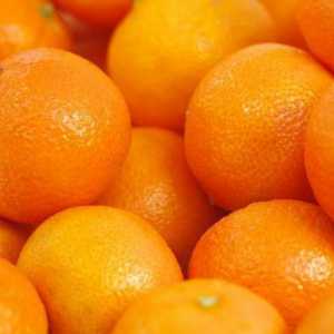 Alergije na citrusa kod odraslih i djece: uzroci, simptomi i liječenje