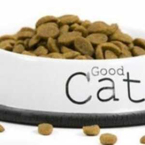 Alergija na mačka hranu: simptomi i tretmani