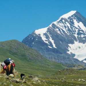 Altai Territory i Republic of Altai - nevjerojatna mjesta za aktivnosti na otvorenom
