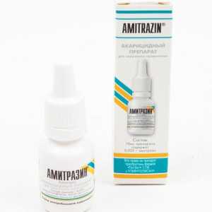 `Amitrazin`: upute za uporabu za mačke i pse