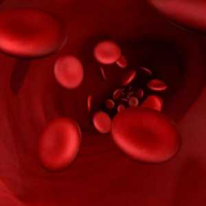 Krvni test za biokemiju: dekodiranje rezultata