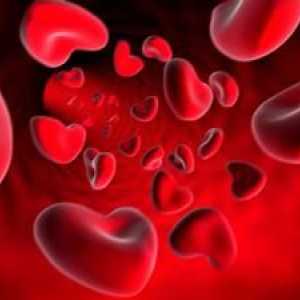 Test krvi: dekodiranje PDW (norma i odstupanje)