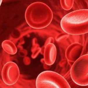 Što je anizocitoza? Anisocitoza u općem testu krvi