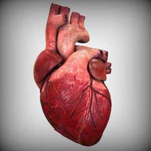 Aortalni ventil: struktura, mehanizam rada. Nedostatak stenoze i aorte