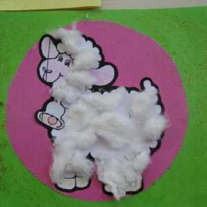Applique od pamučne vune: korisni savjeti za nastavu s djecom
