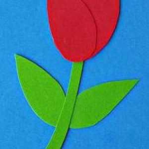 Primjena "Tulipani" iz različitih materijala
