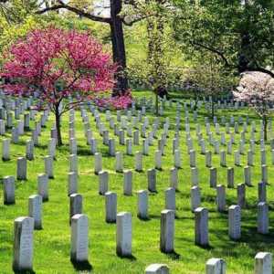 Arlington National Cemetery (SAD): povijest, opis