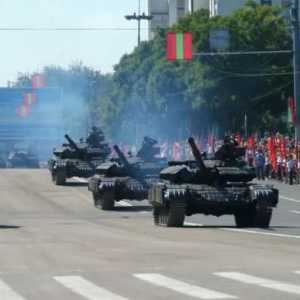 Transdnjestrijska vojska: snaga, sastav