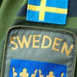 Vojska Švedske: snaga, oprema, fotografije