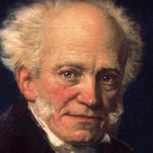 Arthur Schopenhauer. Izreke o putu i životu čovjeka