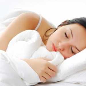 `Ascona `(jastuci): recenzije, fotografije