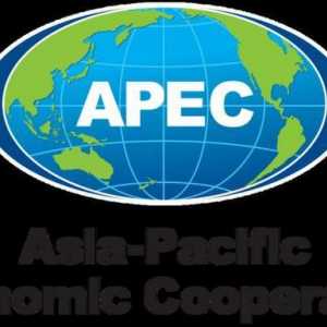 АТЭС - расшифровка. Азиатско-Тихоокеанское экономическое сотрудничество: список стран