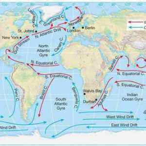 Atlantski ocean: struje i njihova svojstva