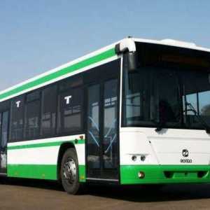Autobus GOLAZ 5251, 6228: specifikacije i fotografije