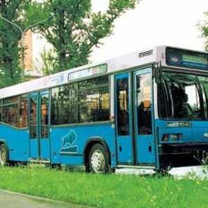 Autobus MAZ 103, 105, 107, 256: specifikacije modela