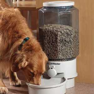 Automatski feedovi za pse: značajke uređaja i operacija. Kako sami uvesti hranilicu?
