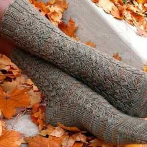 Prozirne čarape s iglom za pletenje: sheme. Obrasci za čarape