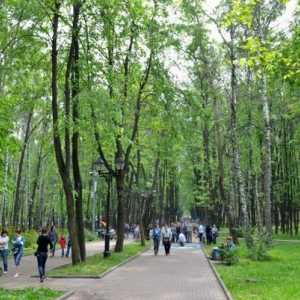 Babushkinsky park kulture i odmora u Moskvi - imamo odmor sa svima obitelji! Kako doći do…