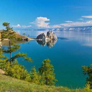 Baikal riba: popis, opis