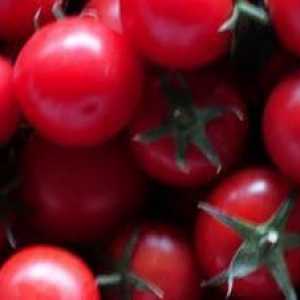 Baku rajčice: opis, fotografija.