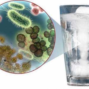Bakterije coliforms u vodi. Termotolerantni koliformi