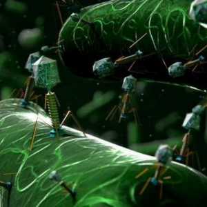 Kompleks bakteriofaga: upute za upotrebu, analozi i recenzije