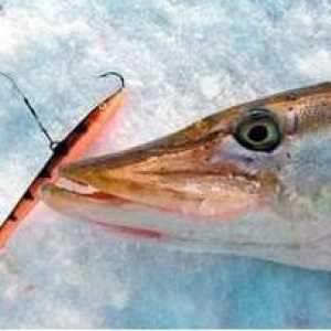 Balansiranje štuka: opis i recenzije. Zimski ribolov na kotaču