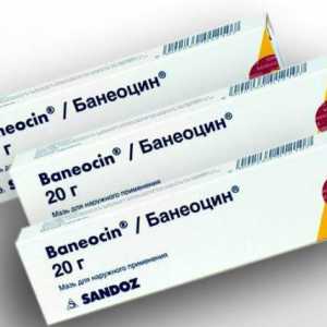 "Baneocin": analozi. `Baneotsin`: primjena, povratna informacija, nego…