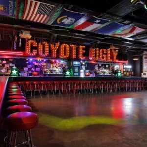 Bar `Ugly Coyote`: o instituciji, značajkama, recenzijama