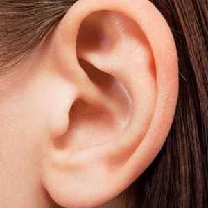 Bubanj je dio srednjeg uha