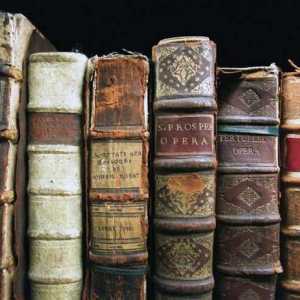 Barokna književnost - što je to? Stilističke značajke barokne književnosti. Barokna književnost u…