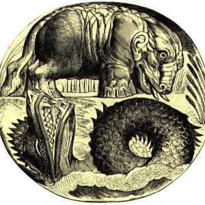 Lovopotamus: mitologija, etimologija, sorte
